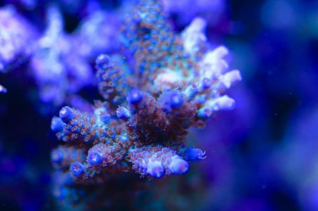 IMG_4069.jpg