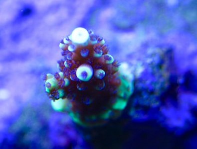 IMG_4074.jpg