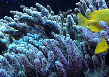 540665_10150691947689480_1899696544_n (2).jpg