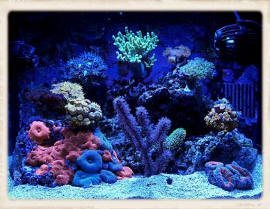 FTS1.jpg