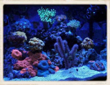 FTS2.jpg