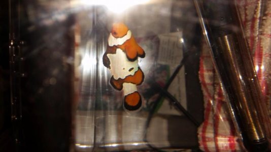 20170225_215642.jpg