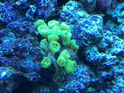 IMG_1265.jpg IMG_1265.jpg