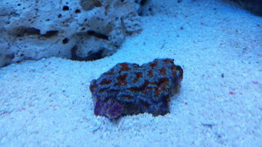 20170226_142147.jpg