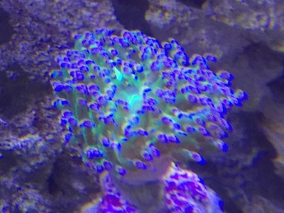 IMG_3526.jpg