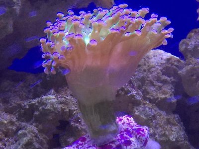 IMG_3528.jpg