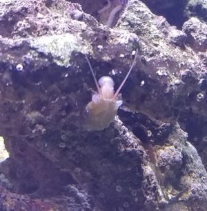 20170227_194946.jpg