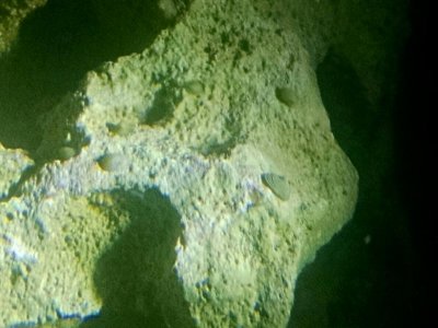 IMG_20170228_171710.jpg