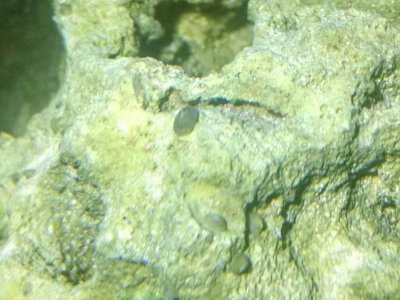 IMG_20170228_171641.jpg