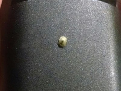IMG_20170228_174926.jpg