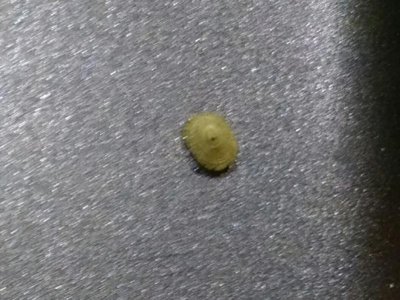 IMG_20170228_175024.jpg