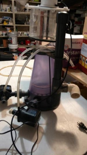IMG_20170228_185514508.jpg