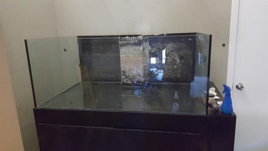 Glass Box.jpg