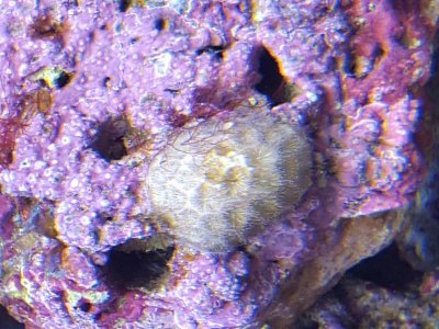 20170301_111425.jpg