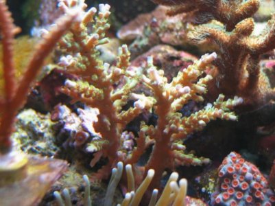 IMG_0680.jpg