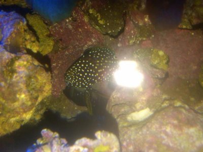 IMG00102-20100417-1459 (2).jpg