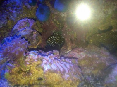 IMG00103-20100417-1500 (1).jpg