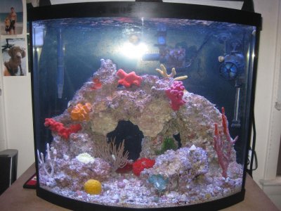 TANK 1.jpg