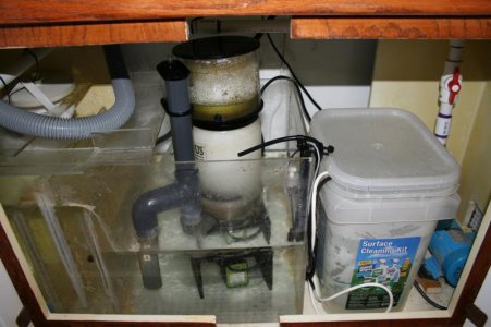 Picture 003.jpg