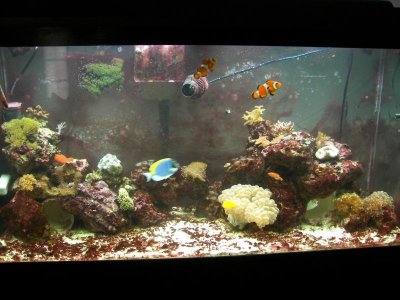 FTS 04-18-10.jpg