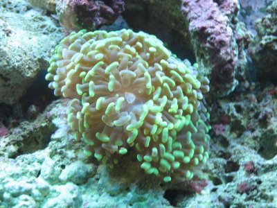 IMG_1932.jpg