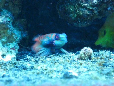 IMG_1923.jpg