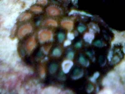 SUNP0010.JPG