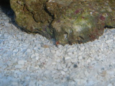 unknown 3.jpg