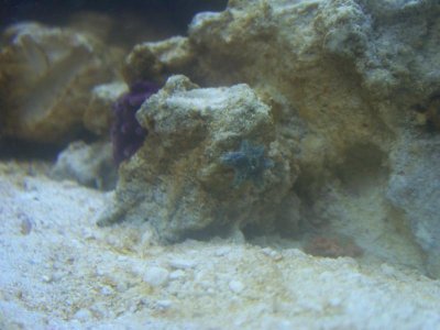 100_0761.jpg