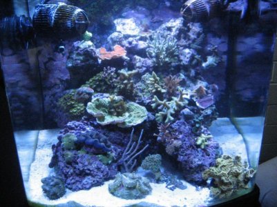 2010012iso31 0011.jpg