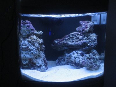 20091122 0081.jpg