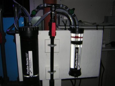 two reactors gfo and carbon.jpg