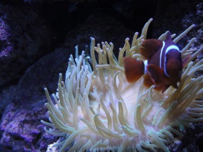 2010-04-20 001 (640x480).jpg