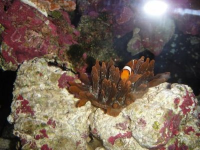 2010-04-21 003 (640x480).jpg