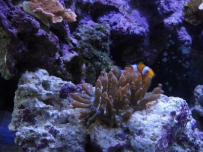 2010-04-21 004 (640x480).jpg