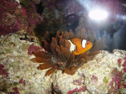 2010-04-21 005 (640x480).jpg