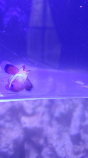 20170308_074049.jpg