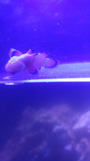 20170308_074042.jpg