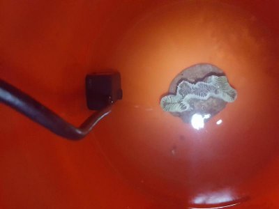 20170308_102031.jpg