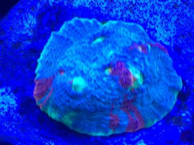IMG_5013.jpg