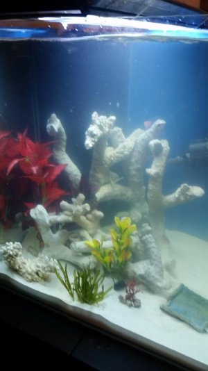 20170301_105259.jpg