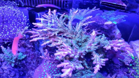 20170310_192647.jpg