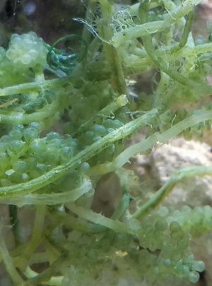 20170303_141854.jpg