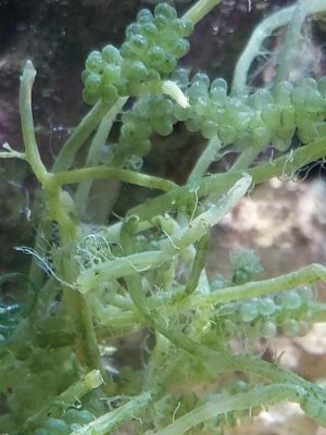 20170303_141743.jpg