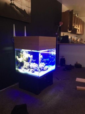 tank fts.jpg