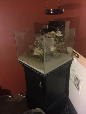 fts.jpg