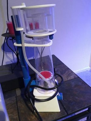 skimmer.jpg