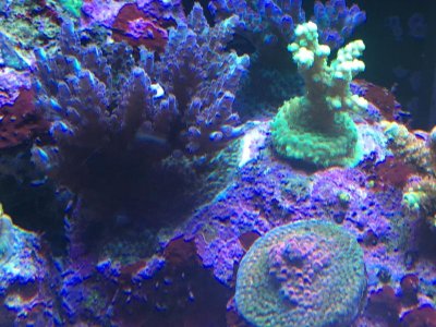 IMG_1320.jpg