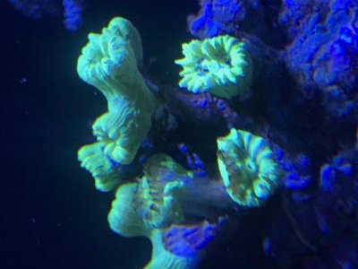 IMG_8723.jpg