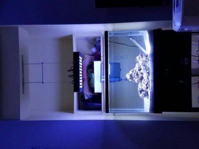 20170304_193445.jpg